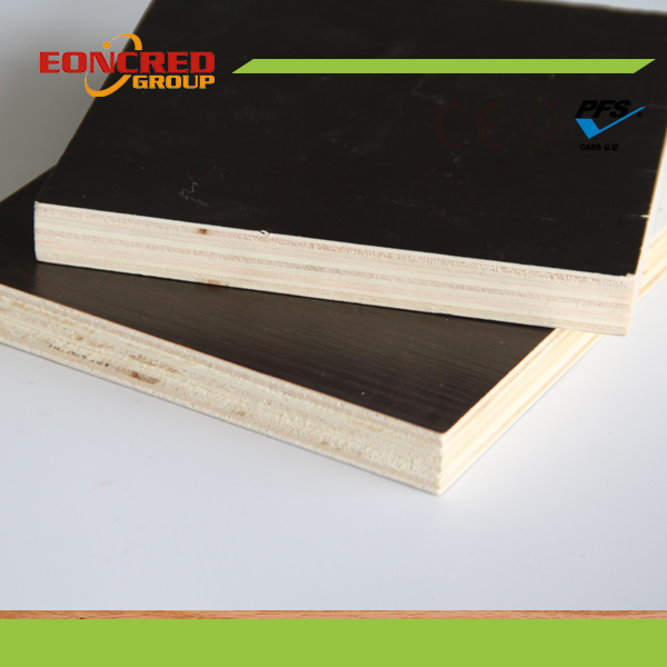 1250*2500mm Plywood/ 1250*2500mm Film Faced Plywood for Europe Market