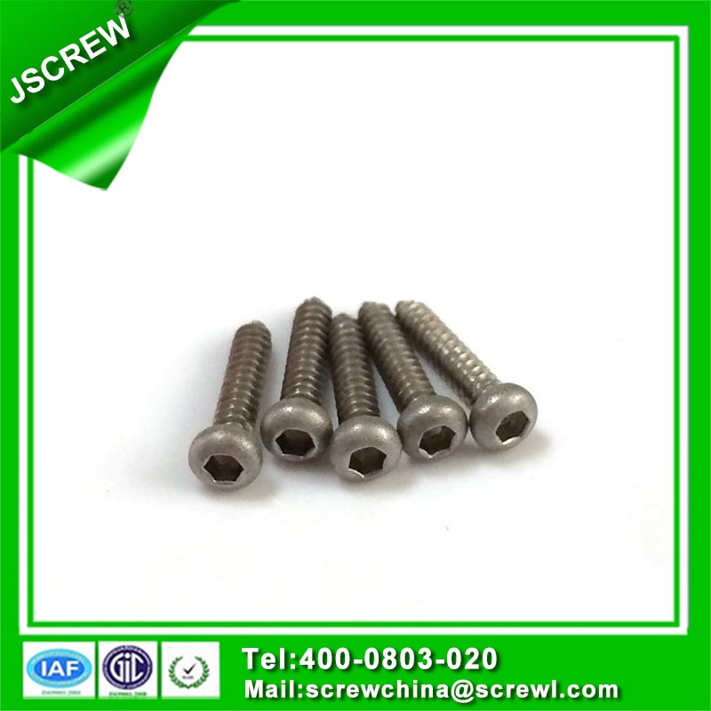 Pan Head Stainless Steel Self Tapping Screw