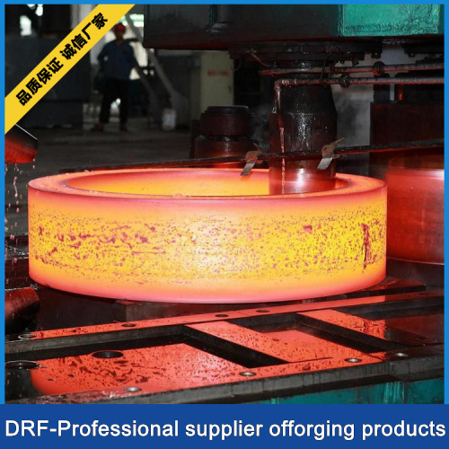 Flange Ring Factory (Forging Ring)