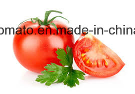 400g Organic Canned Tomato Paste of Vego Brand