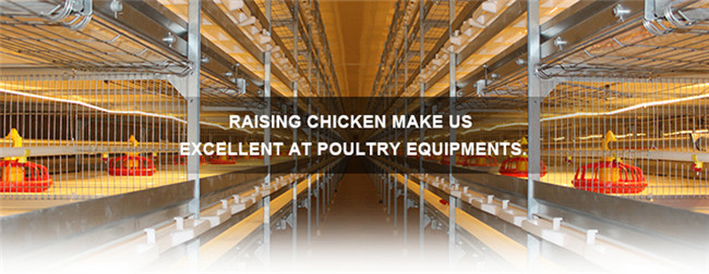 Tianrui New Raising Equipment H Type Automatic Broiler Cage System