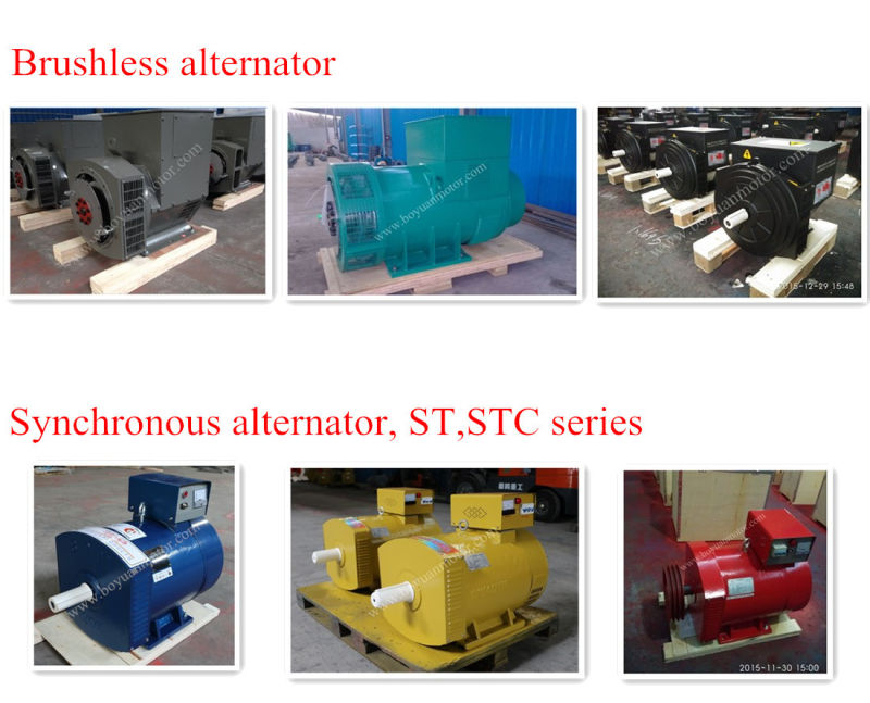 St Single-Phase/Stc Three-Phase AC Alternator with Carbon Brush, AVR