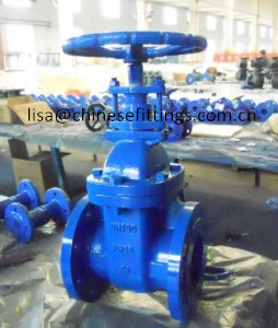 Dn50 Bolt Bonnet DIN Flange End Cast Iron Gate Valve