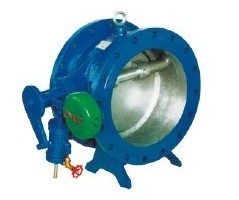 Title Disc Butterfly Type Check Valve