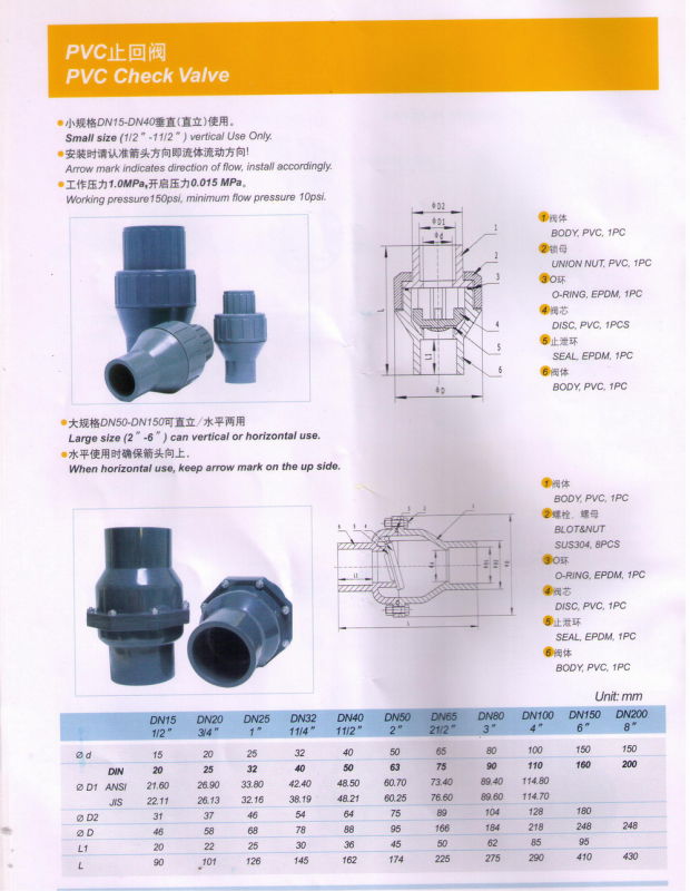 Plastic PVC Foot/Check Valve