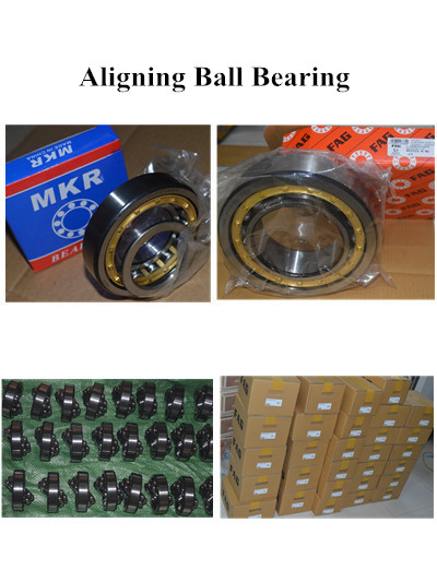 Chinese and Brand Engine Bearing Self Aligning Ball Bearing