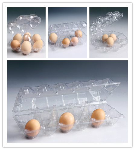 China Supply Hatching Chicken Eggs Plastic Egg Tray