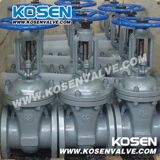 GOST Cast Steel Gate Valves Pn25 (Z40)