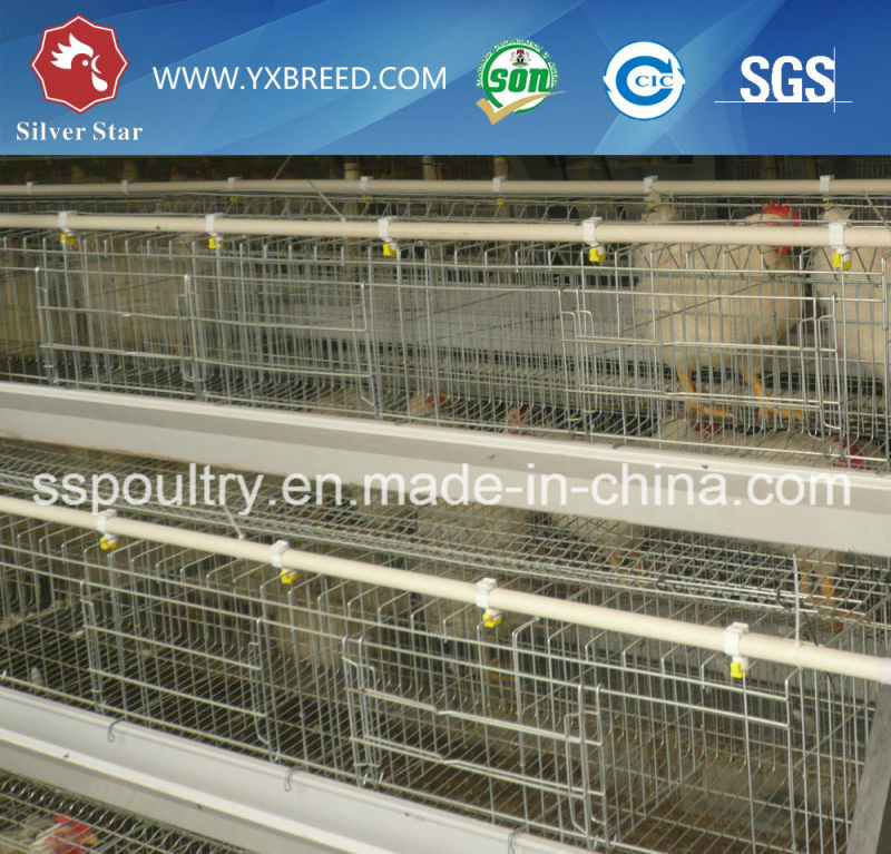 Egg Layer Battery Cages