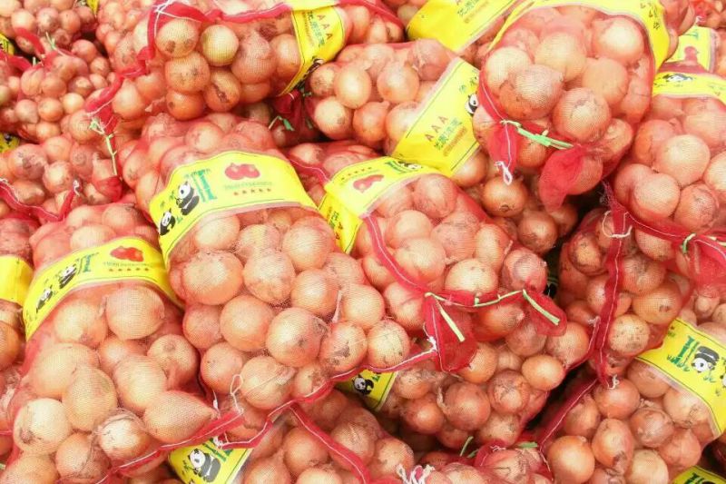 New Crop Fresh Onion Hot Sale in Bulk