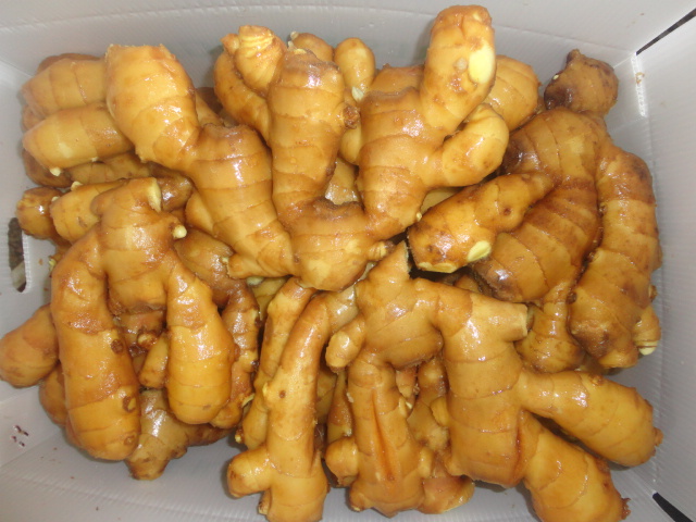 150g and up Fresh Ginger for South Asia