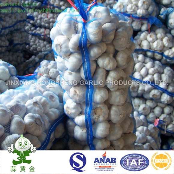 Jinxiang Pure White Garlic New Crop 2016