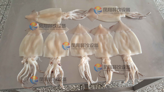 Squid Peeling Machine Squid Plate Peeling Machine Squid Peeler Squid Skin Removing Machine