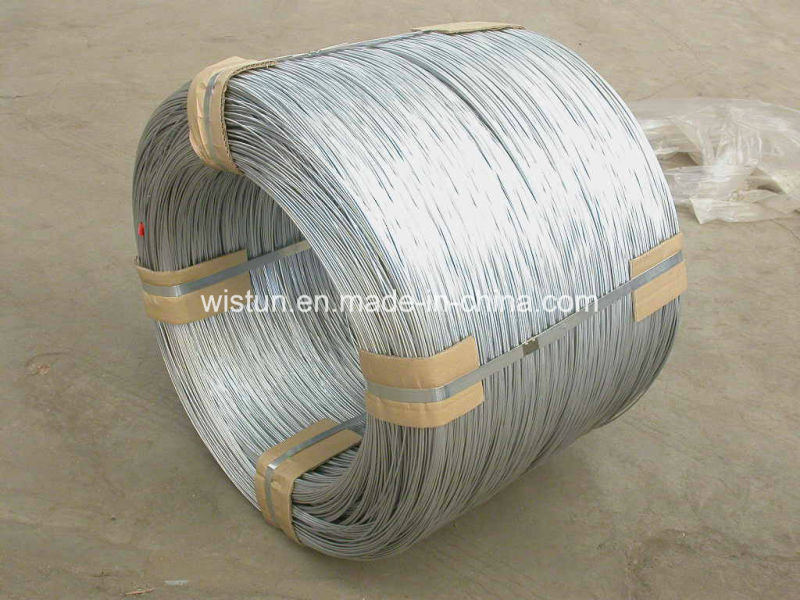 0.25mm-5.0mm Hot Dipped Electro Galvanized Wire (ISO9001: 2000)