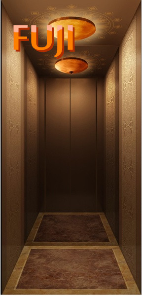 Villa Elevator / Lift (HOME ELEVATOR)