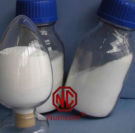 Sodium Hyaluronate Hyaluronic Made in China