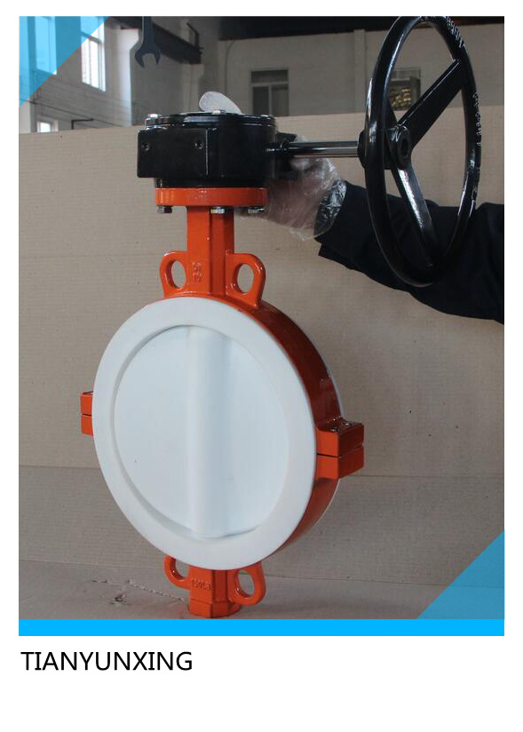 PTFE Seat Stainless Steel Butterfly Valve