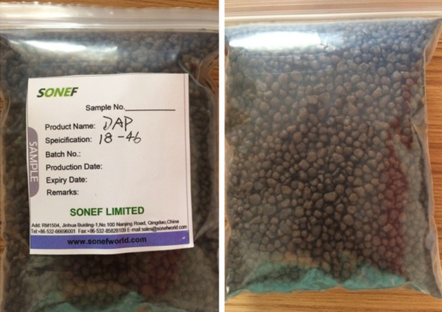 Ccic Proved DAP Fertilizer