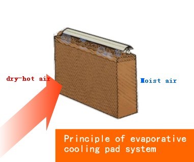 7090filtering Function Evaporative Cooling Pad