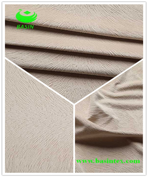 Burn-out Soft Sofa Fabric (BS2109)