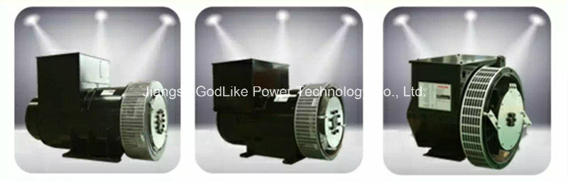 Ce, ISO Approved China Famous Factory 22kw Brushless Alternator (JDG184F)