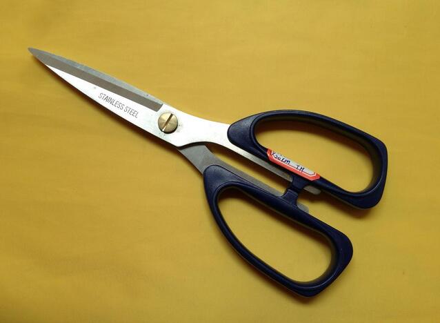 Scissor Dh-11535