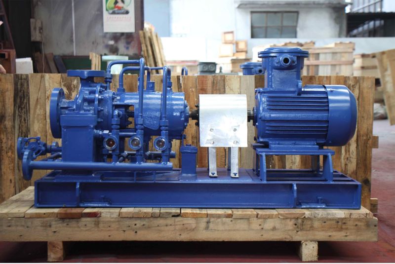 Single Stage and Single Suction Centrifugal Pump (IS100-85-160A)