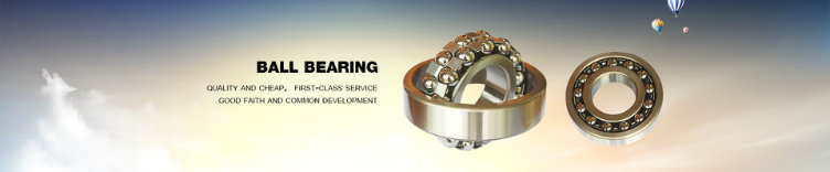 Long Shaped Flexible Shafts Standard Industrial Applications Self-Aligning Ball Bearings