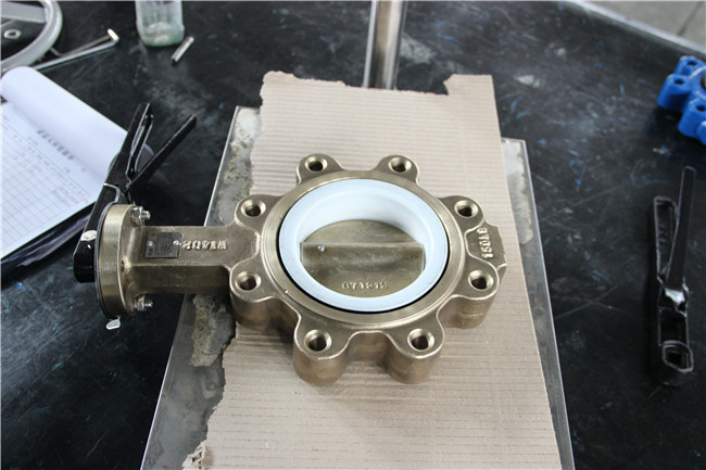 8 Inch Wcb C95400 Lever Operated Lug Butterfly Valve