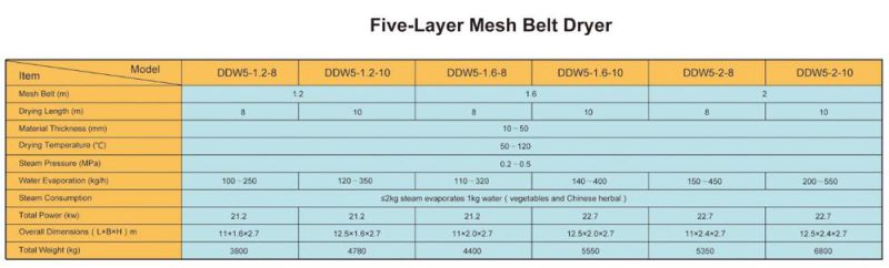 Dw Series Multi-Layer Mesh Belt Dryer for Ginger