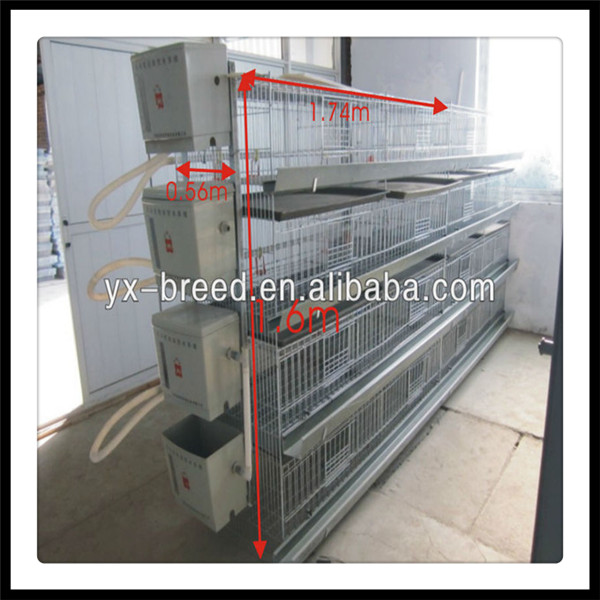 Chicken Broiler Battery Cage (H4L80)