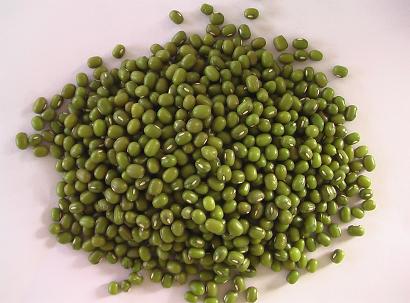 New Crop Good Quality Green Mung Bean