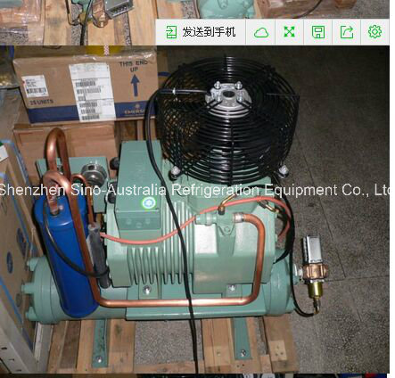 Bitzer Condensing Unit (water chiller)