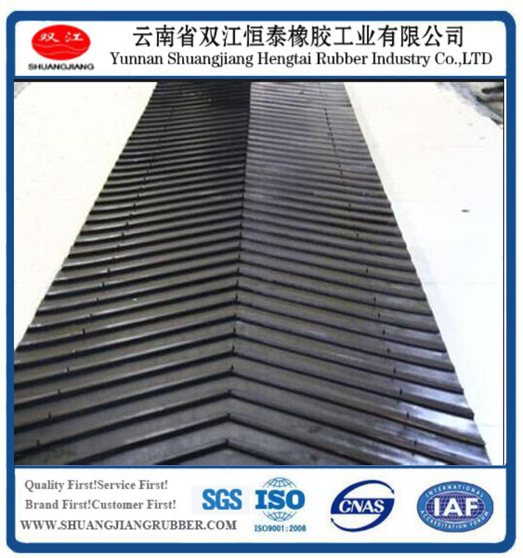 Chevron V Conveyor Belt/ Patterned Conveyor Belt