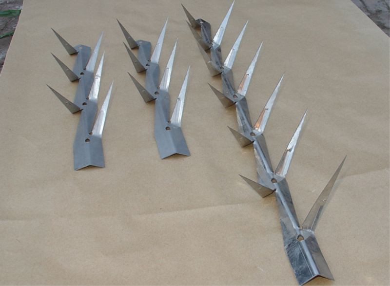 Hot-Dipped Galvanized Wall Spike/Razor Wall Spike