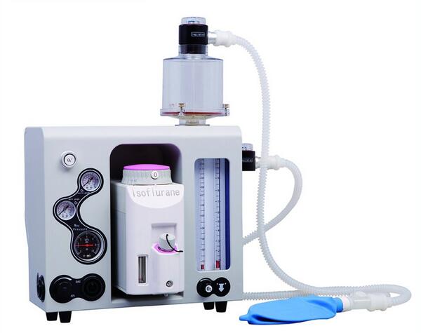 Portable Veterinary Anesthesia Machine, Veterinary Ventilator Scam-1 Vet