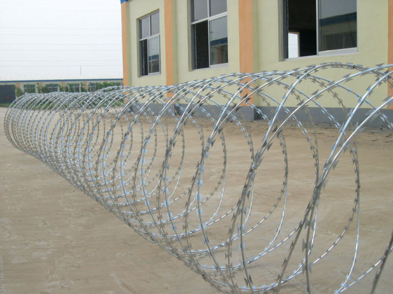 Galvanized Concertina Razor Barbed Wire