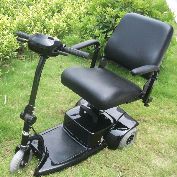 Three Wheel Electric Scooter for Elderly and Disabled (DL24250-1)