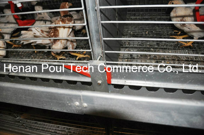 Little Chicken Cage Equipment Brooder Chicken Cage