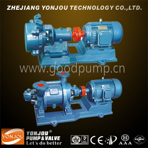 Rotary Liquid Ring Vacuum Pump