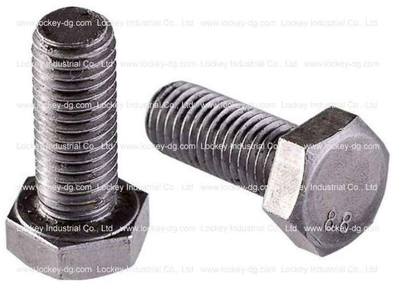 Stainless Steel / Steel Hex Cap Screw