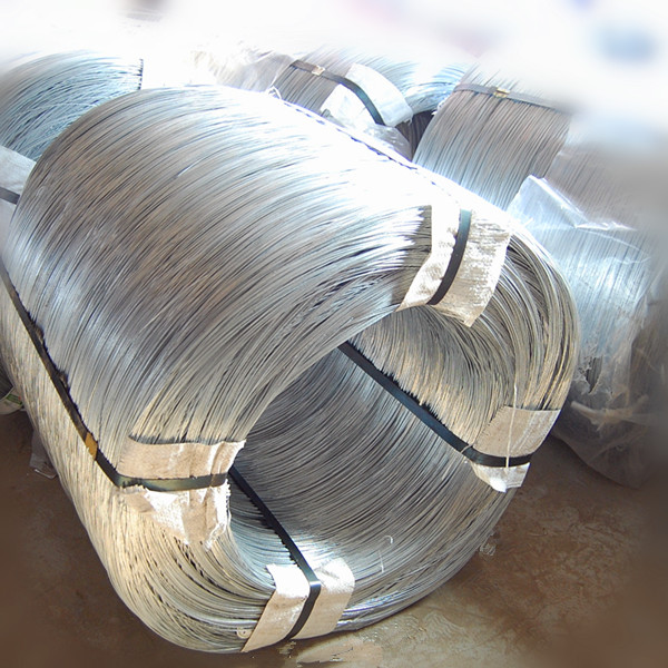 Low Price and High Quality Hot-Dipped Galvanized Iron Wire (TYC-021)