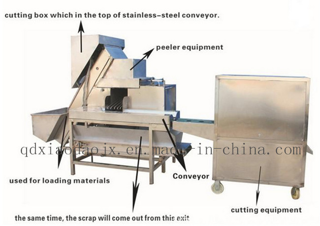 Automatic Onion Peeling Machine Onion Peeler, Onion Machine