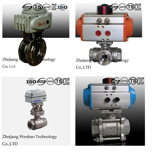 Electric Italy Ss Type Thin Ball Valve with Flange End