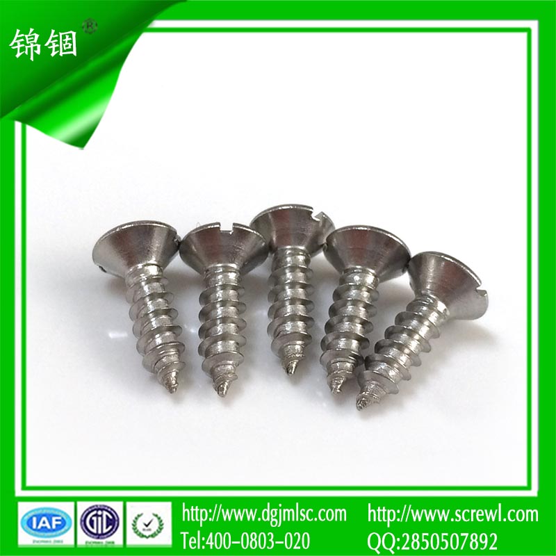 Widely Used Slotted Flat Head Self Tapping Screw