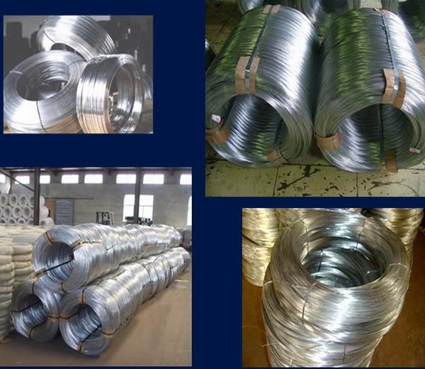 Galvanized Steel Wire, Spring Steel Wire