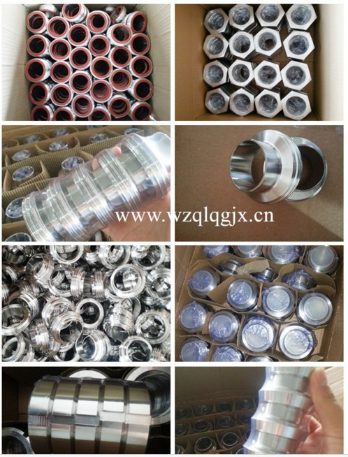 Sanitary Stainless Steel Hose Coupling Ss304 316L Manufacturer