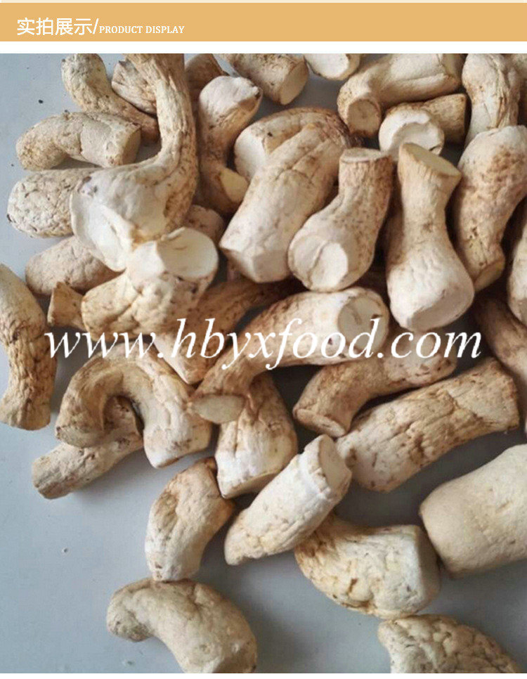 Wholesale Dried Shiitake Mushroom Foot/Stem