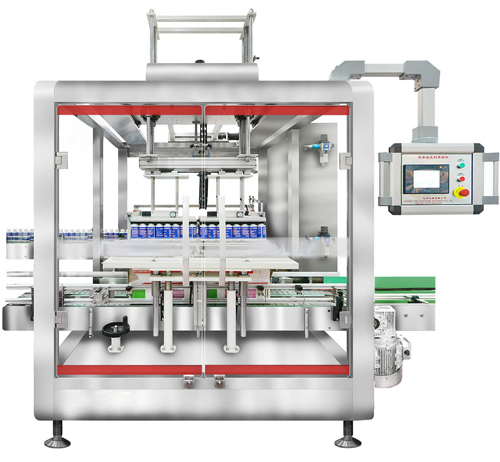 Particle and Powder Horizontal Bag Filling Machine