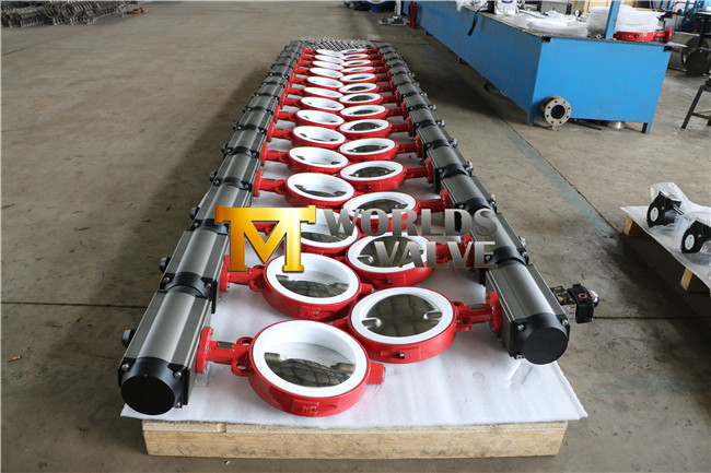 Pneumatic Actuator Wafer Butterfly Valve (D671X-10/16)